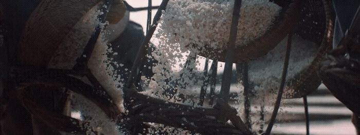 a bird feeder filled with lots of white rice