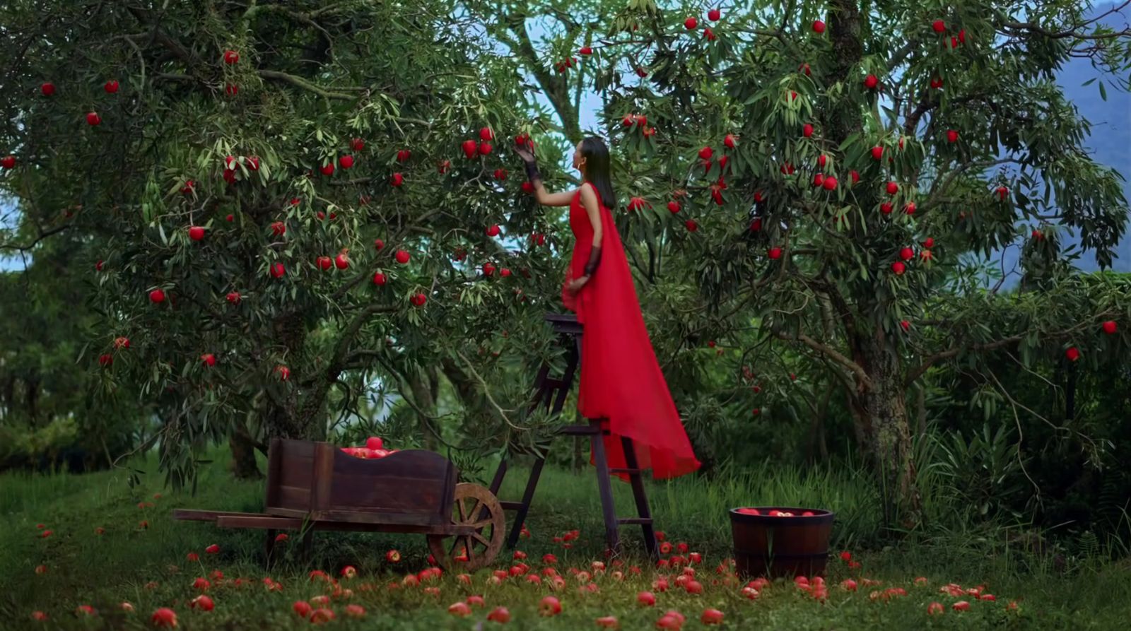 a woman in a red dress picking apples from a tree