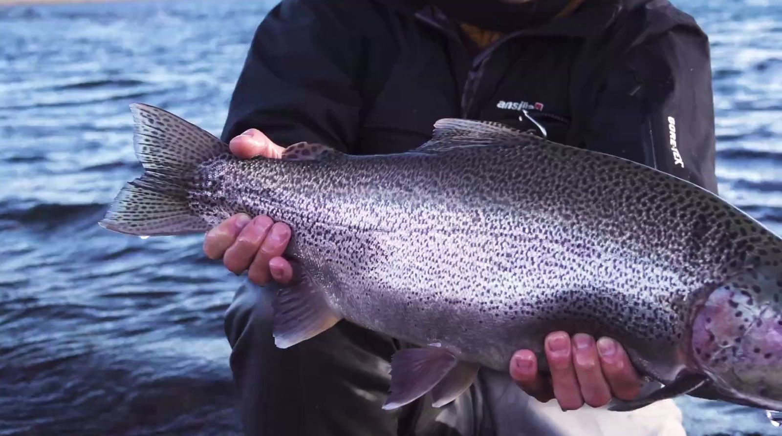 a man holding a large fish in his hands