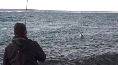 a man standing on a boat watching a fish