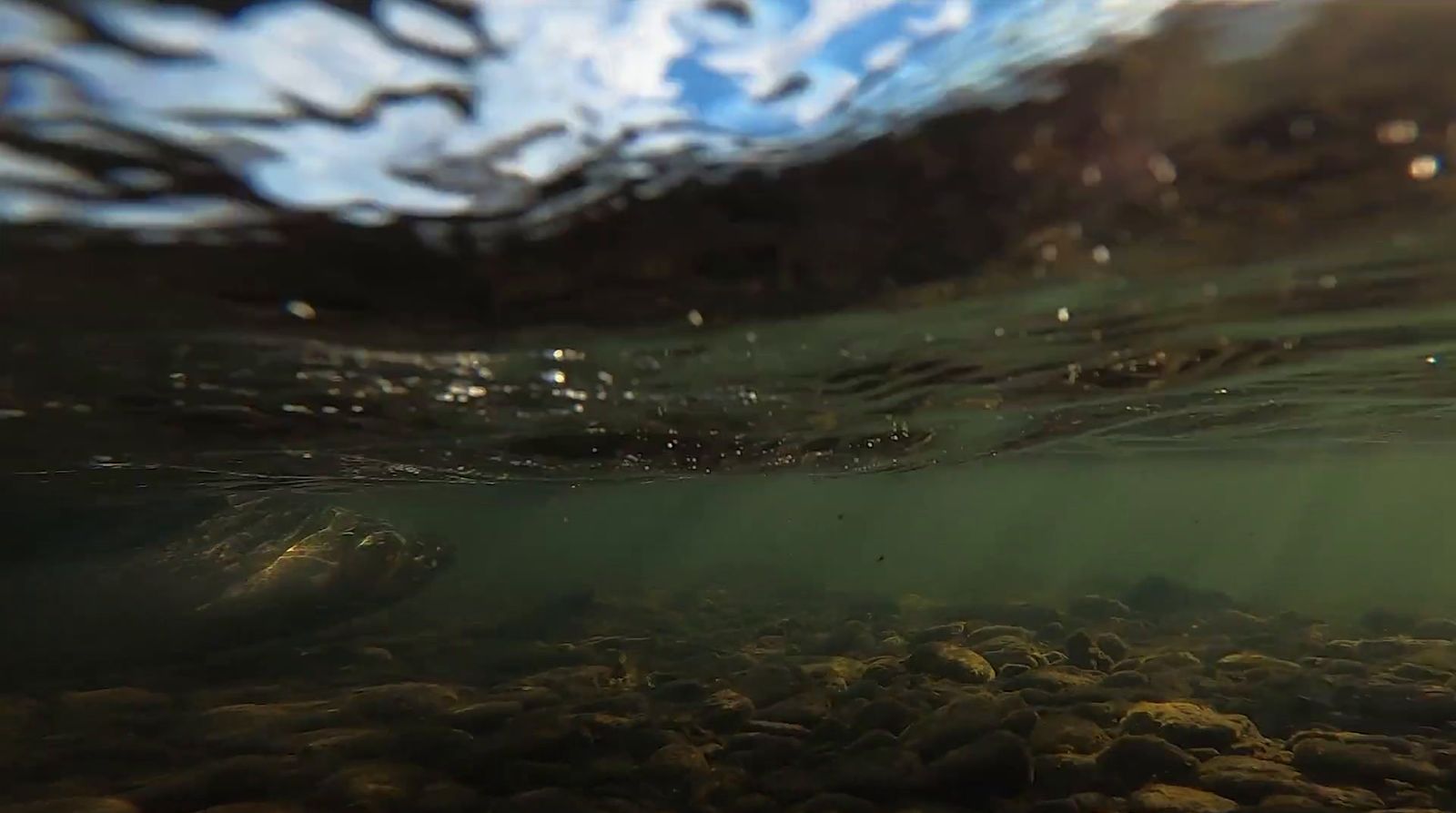 an underwater view of rocks and water