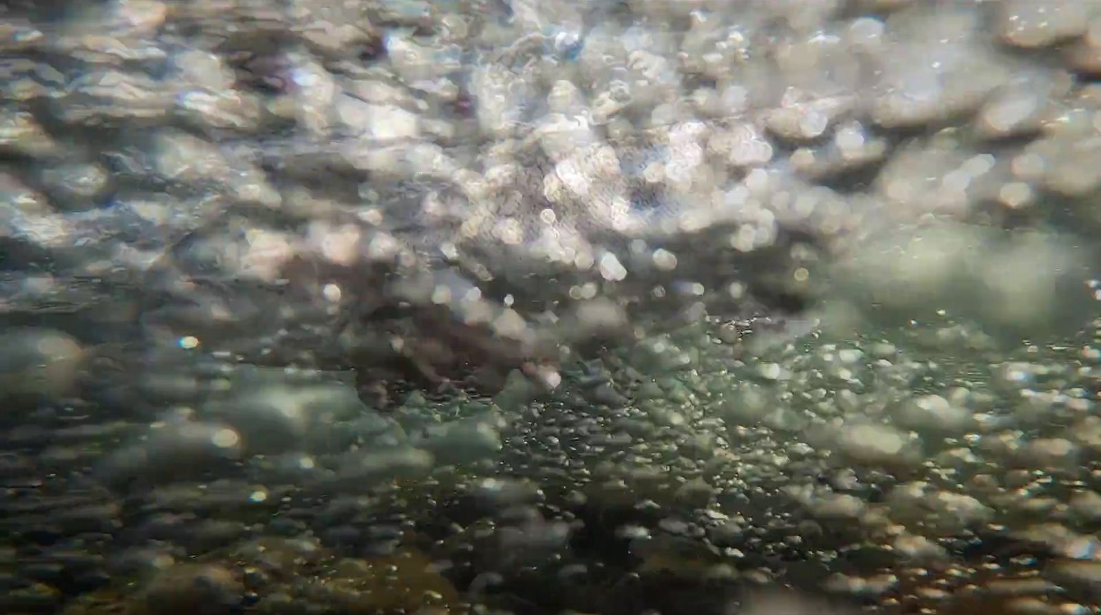 a close up of water bubbles on a surface