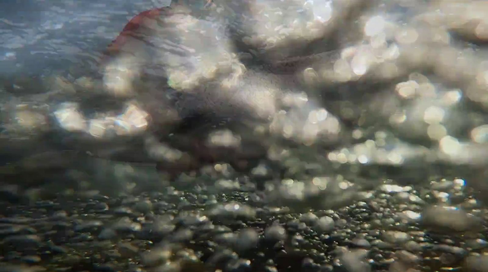 a blurry photo of water and bubbles