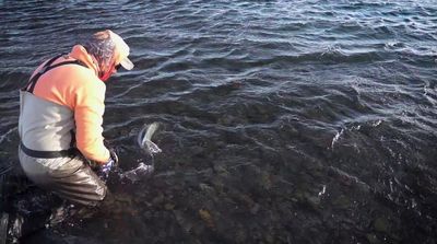 a man standing in a body of water holding a fish