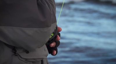 a close up of a person holding a kite