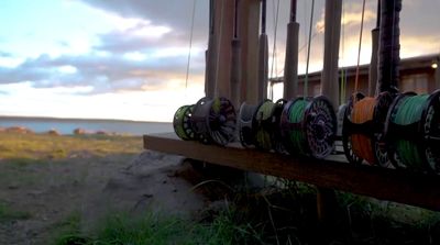 a row of skateboards sitting on top of a wooden bench