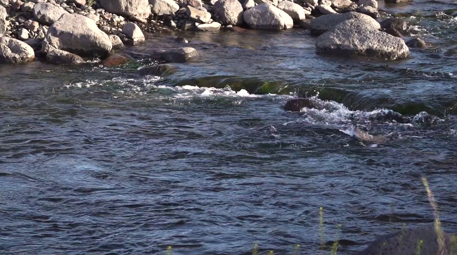 a man is wading through the water near rocks