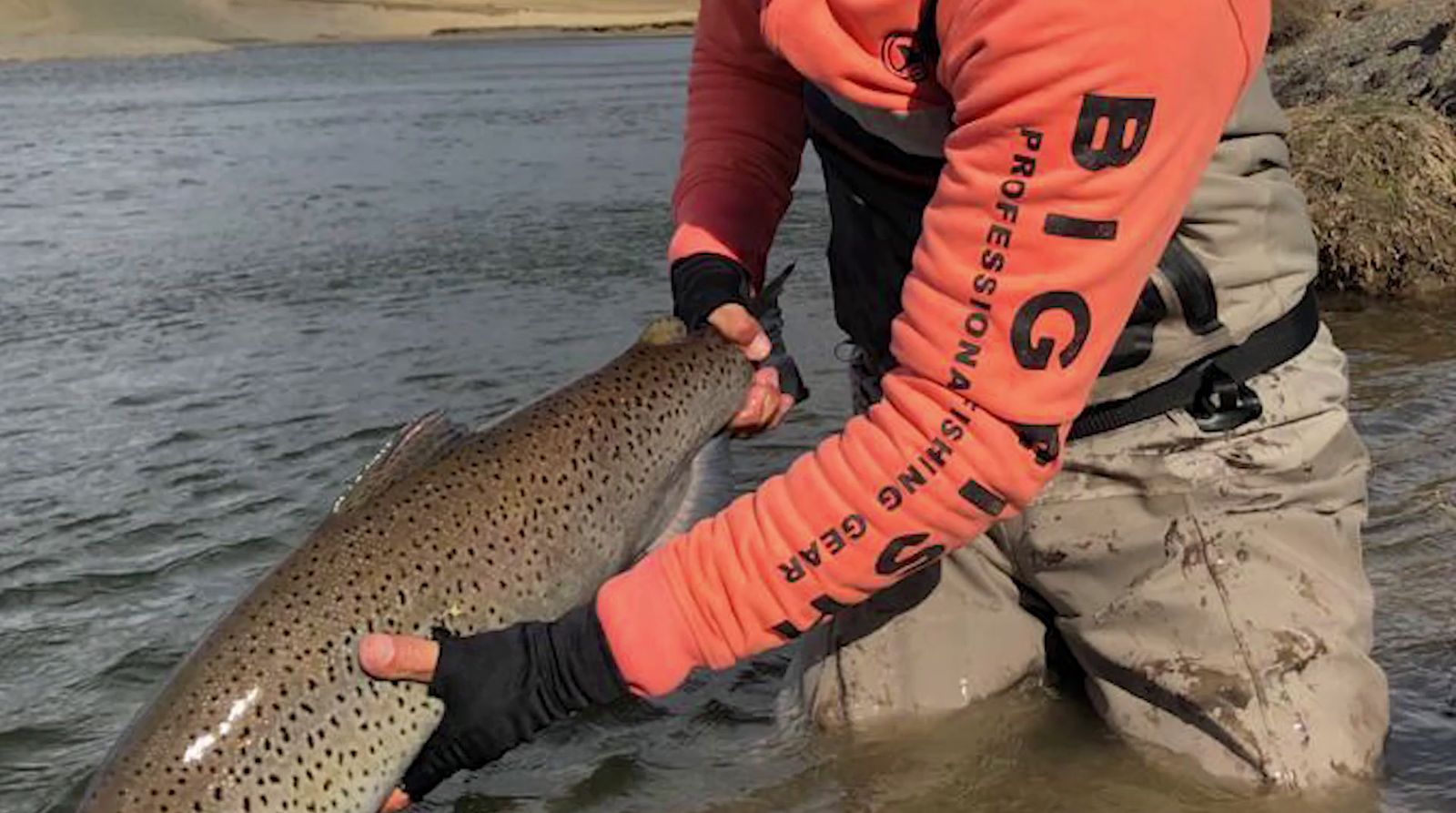 a man holding a large fish in a body of water