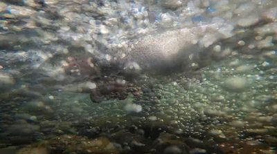 a close up of a body of water with bubbles