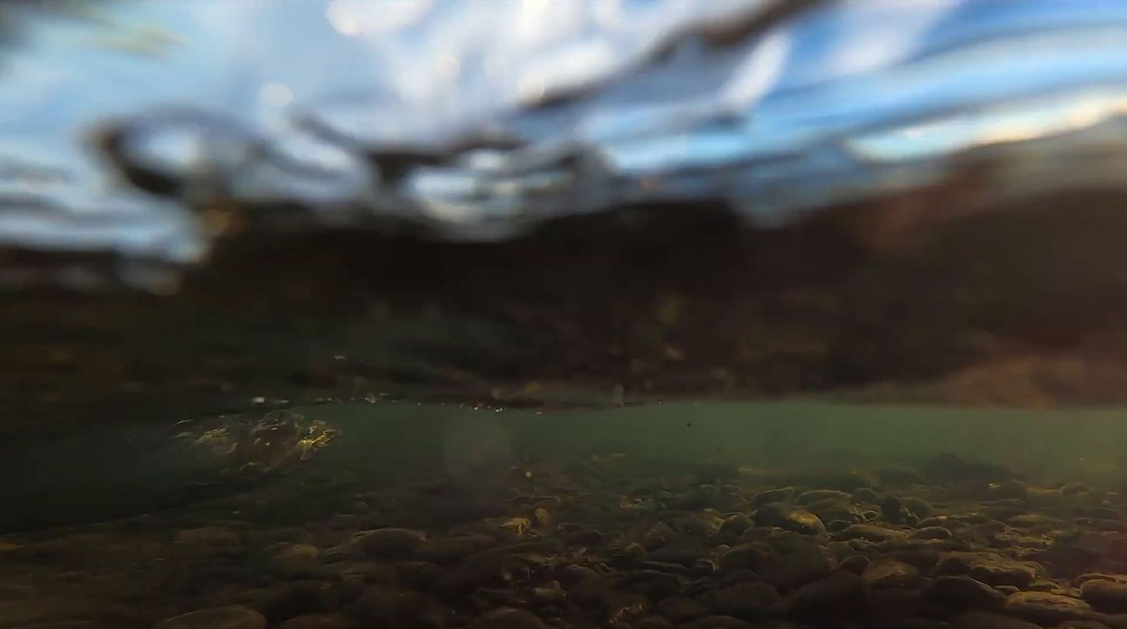 a close up of rocks under water with a sky in the background