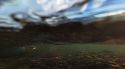 a close up of rocks under water with a sky in the background