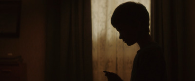 a silhouette of a person holding a cell phone