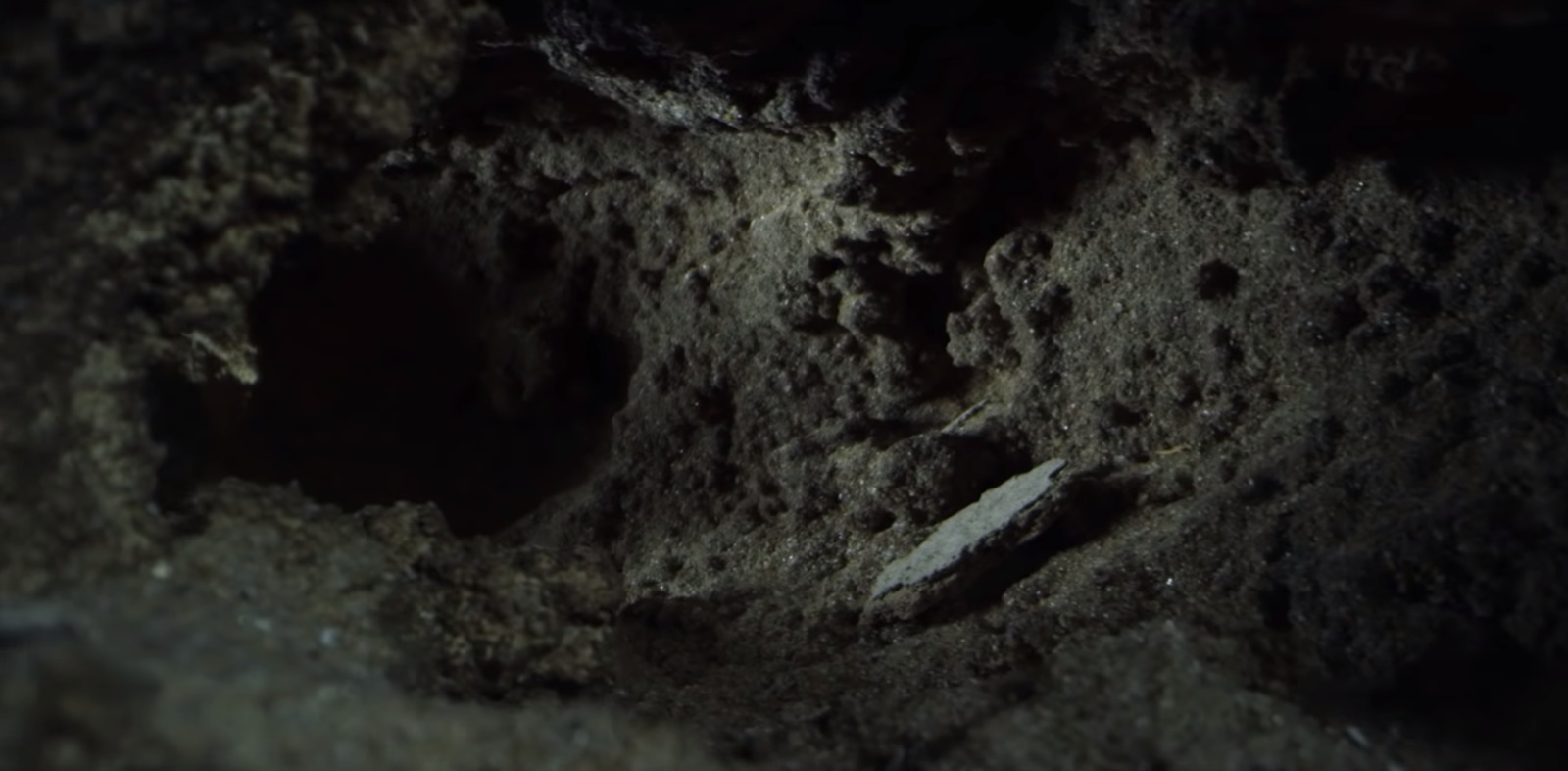 a close up of a rock with dirt on it