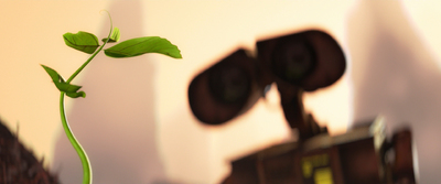 a plant is growing out of a vase