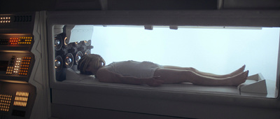 a display of a mannequin laying on a window sill