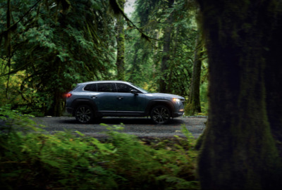 a car is parked in the middle of a forest