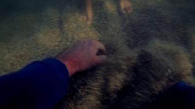 a person holding a dog in the sand