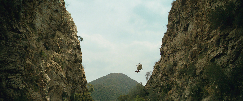 a bird sitting on the edge of a cliff