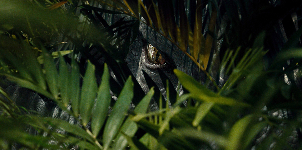 a close up of a person's face through the leaves of a plant