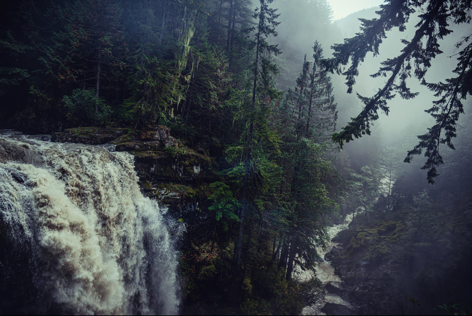 a waterfall in the middle of a forest