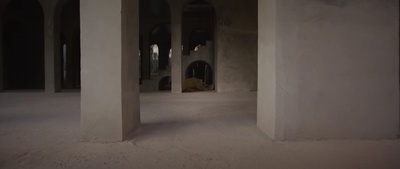 an empty room with columns and a dog laying in the middle