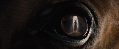 a close up of a horse's eye with a person standing in the distance