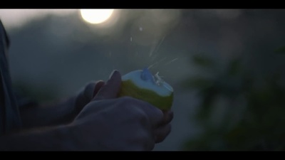 a person holding an apple in their hand