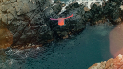 a bird flying over a body of water