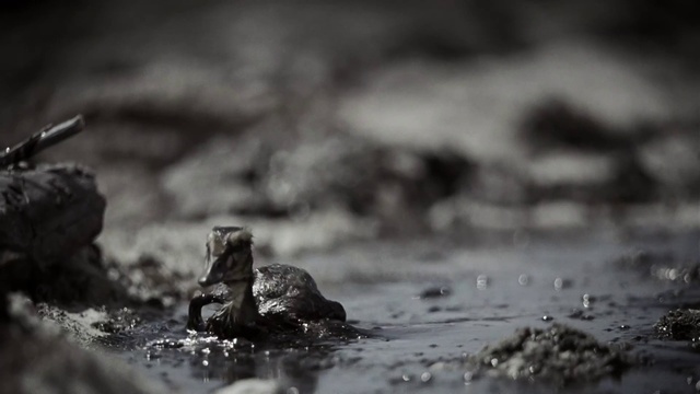 a black and white photo of a puddle of water