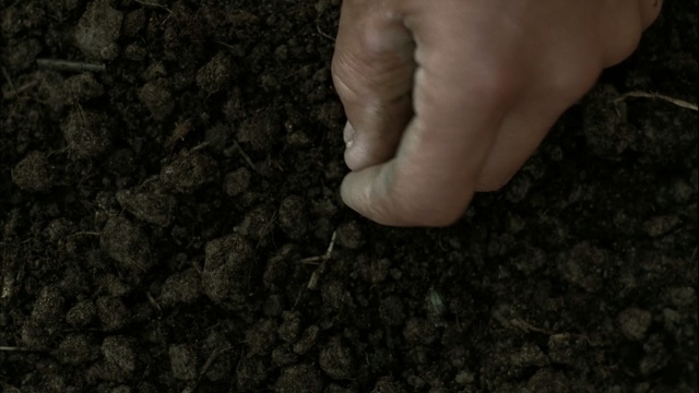 a person's hand reaching for something in the dirt