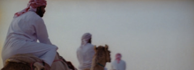 a group of men riding on the backs of camels