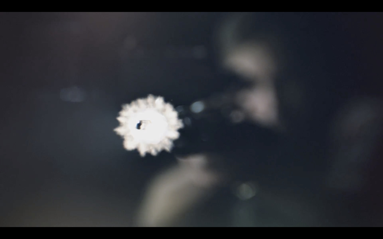 a blurry photo of a white flower on a black background