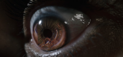 a close up of a person's brown eye