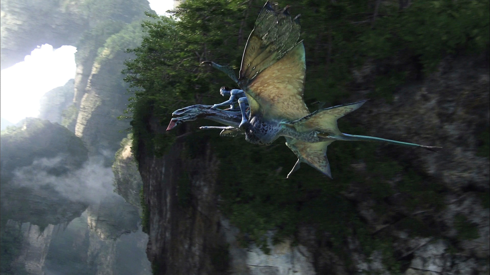 a large bird flying over a lush green forest