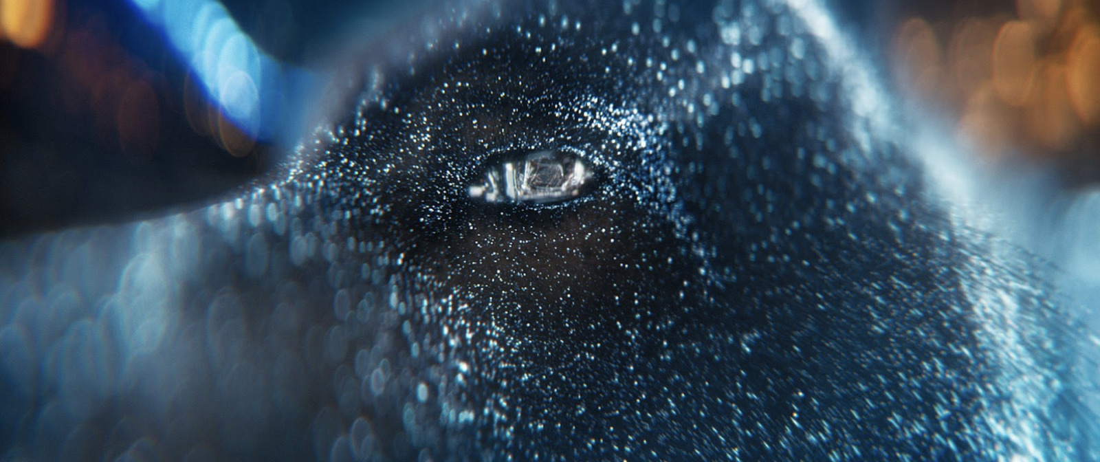 a close up of a dog's eye with a blurry background