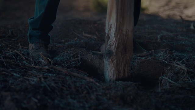 a person standing next to a wooden pole