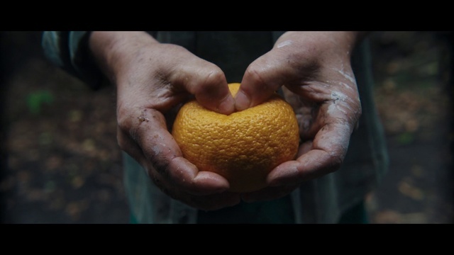 a person holding an orange in their hands