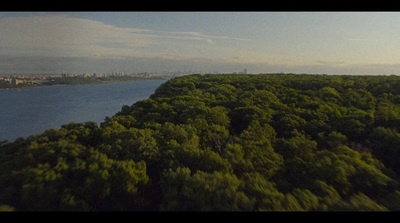 a large body of water surrounded by trees