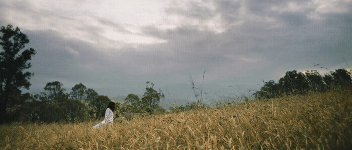 a woman standing in a field of tall grass