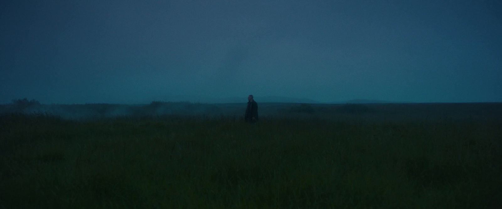 a person standing in a field at night