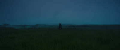 a person standing in a field at night