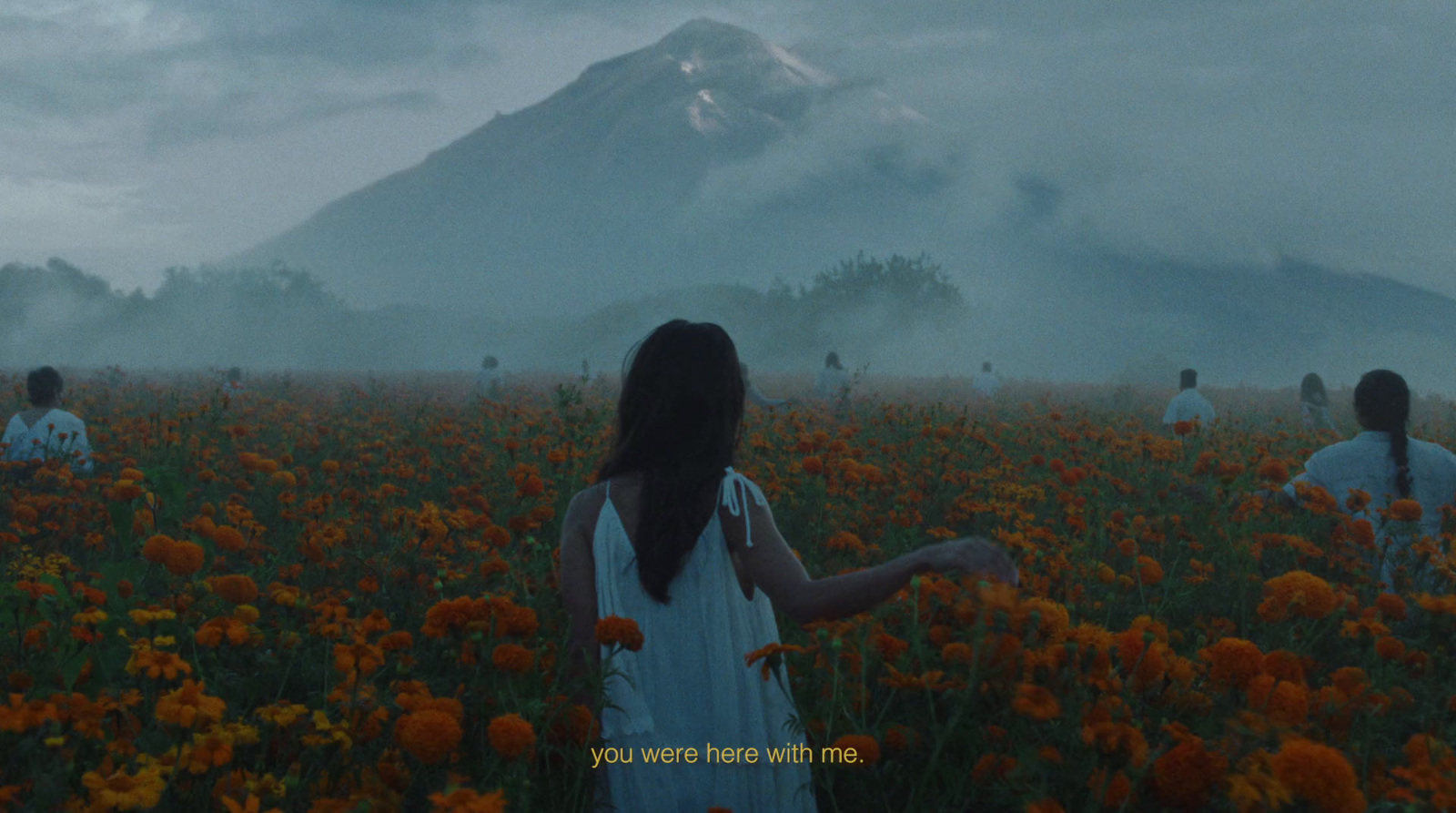 a group of people in a field of flowers