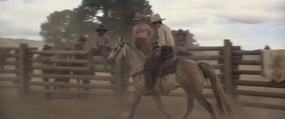 a man riding on the back of a white horse