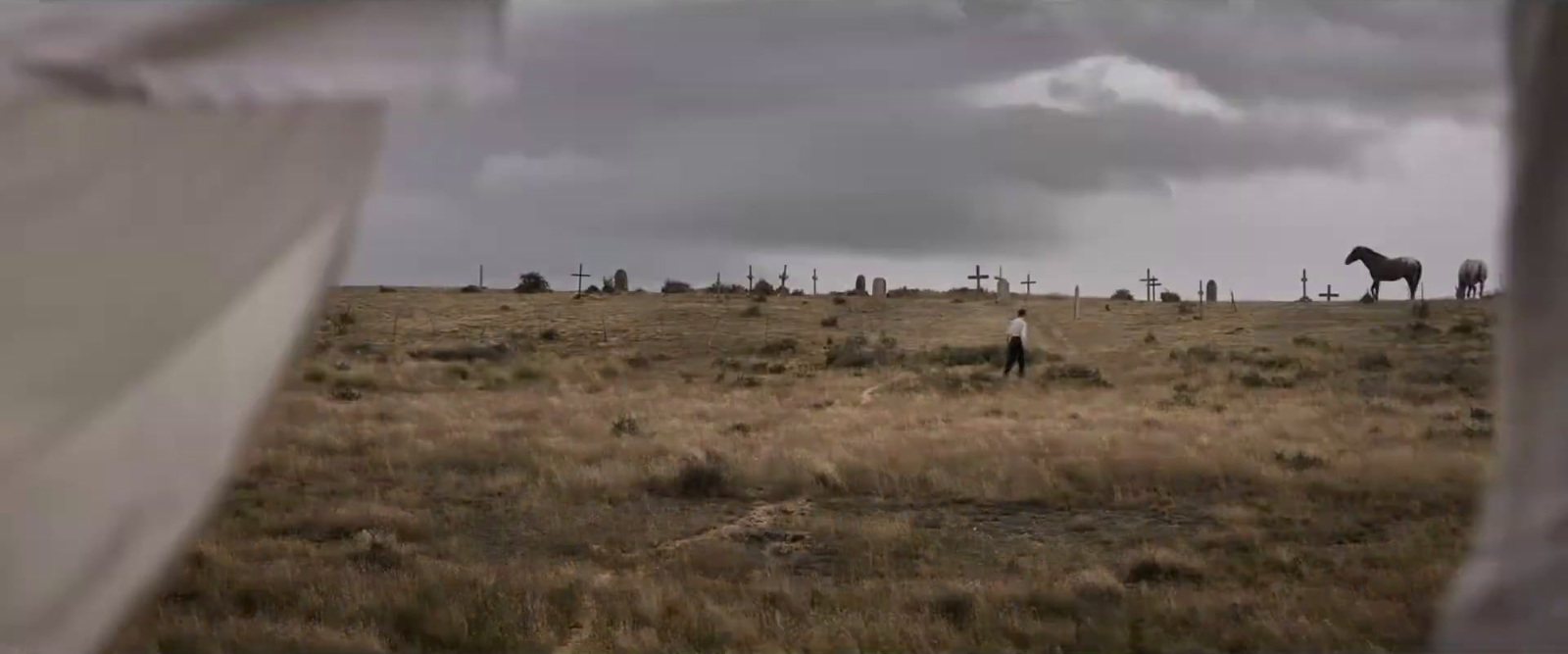 a horse standing on top of a dry grass field