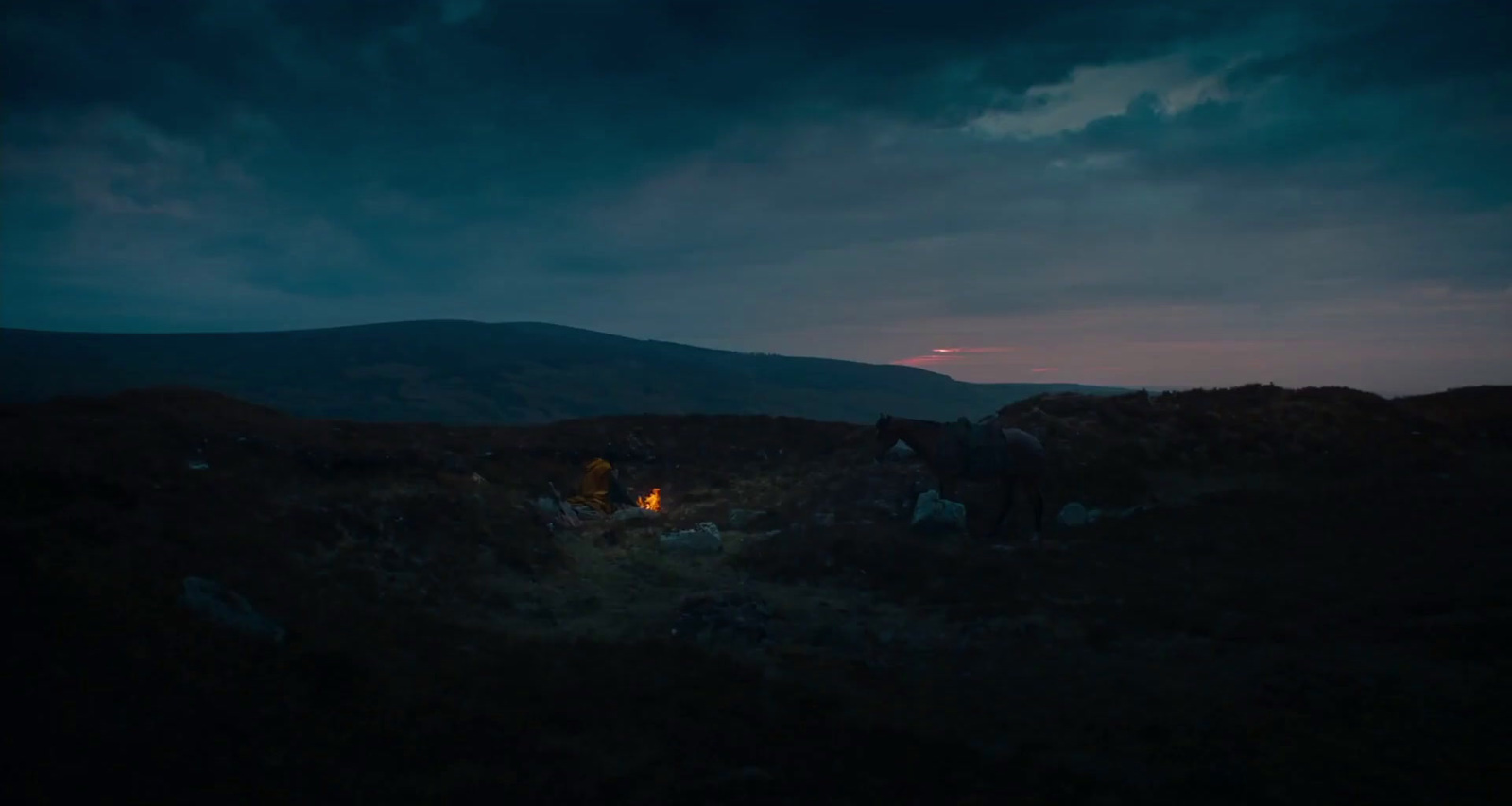 a couple of horses standing on top of a lush green field