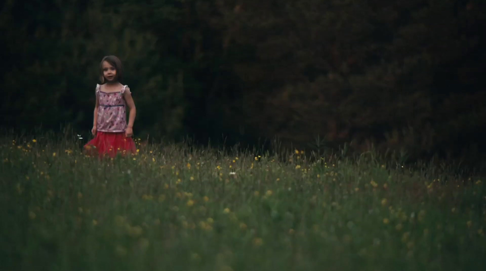 a little girl standing in a field of tall grass