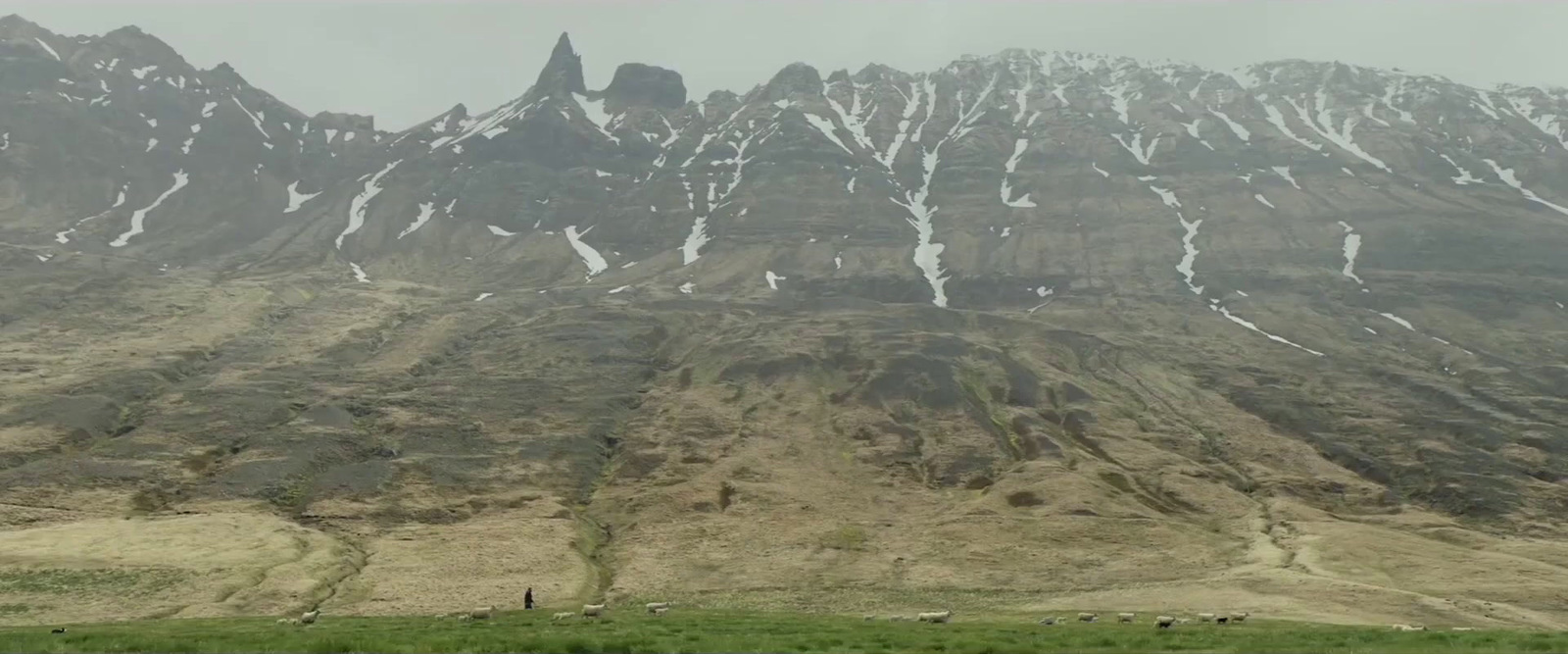 a group of animals grazing in a field in front of a mountain