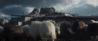 a herd of sheep standing next to a wooden fence