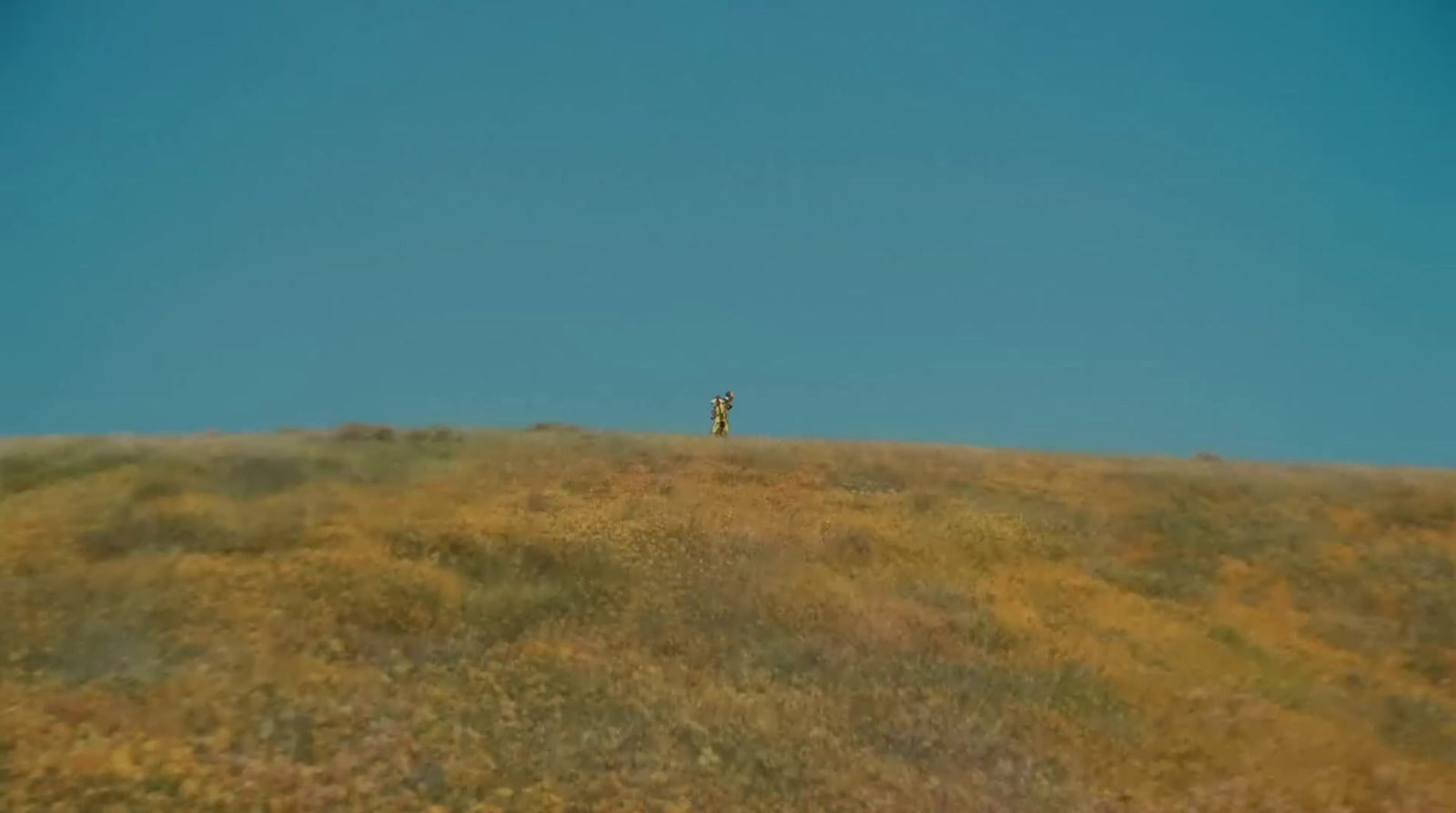 a person standing on top of a grass covered hill