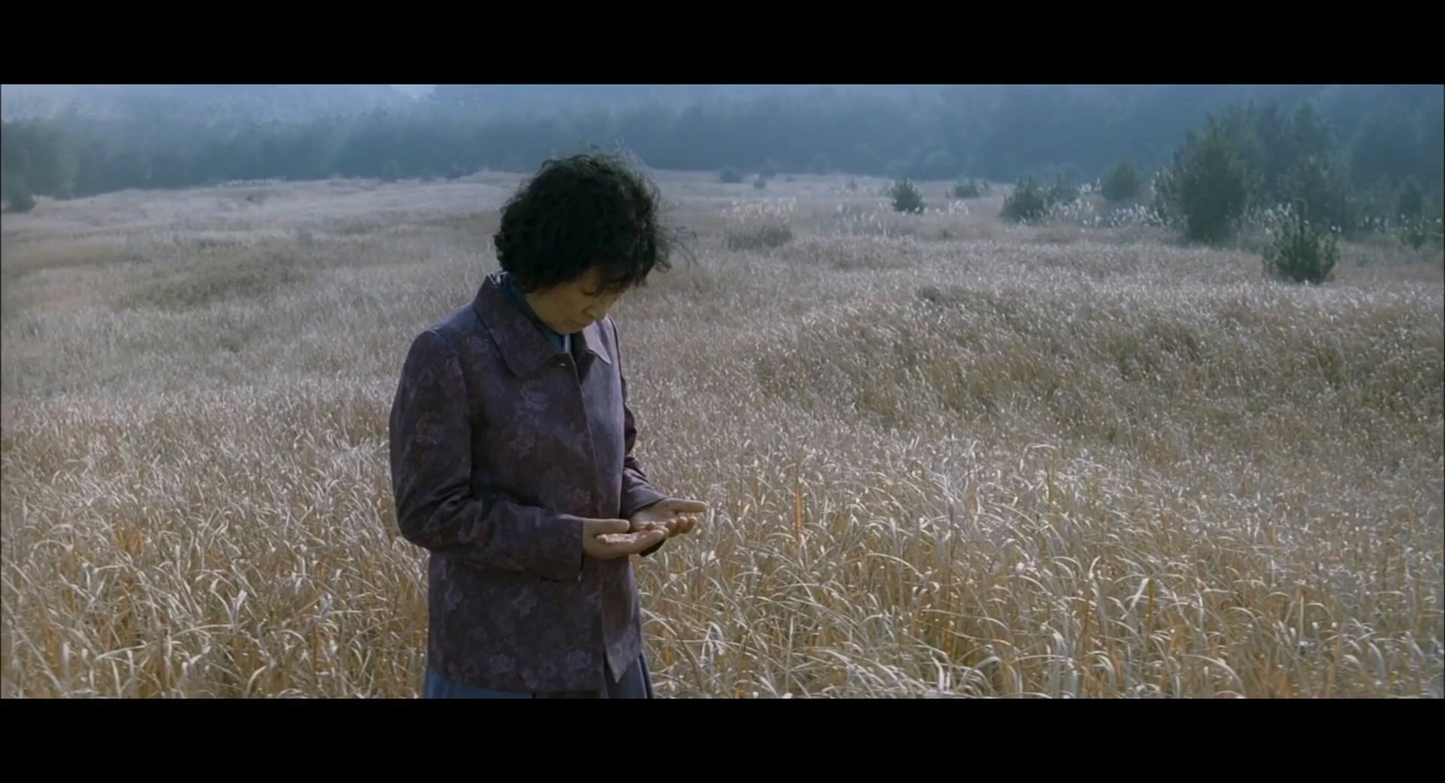 a person standing in a field looking at a cell phone